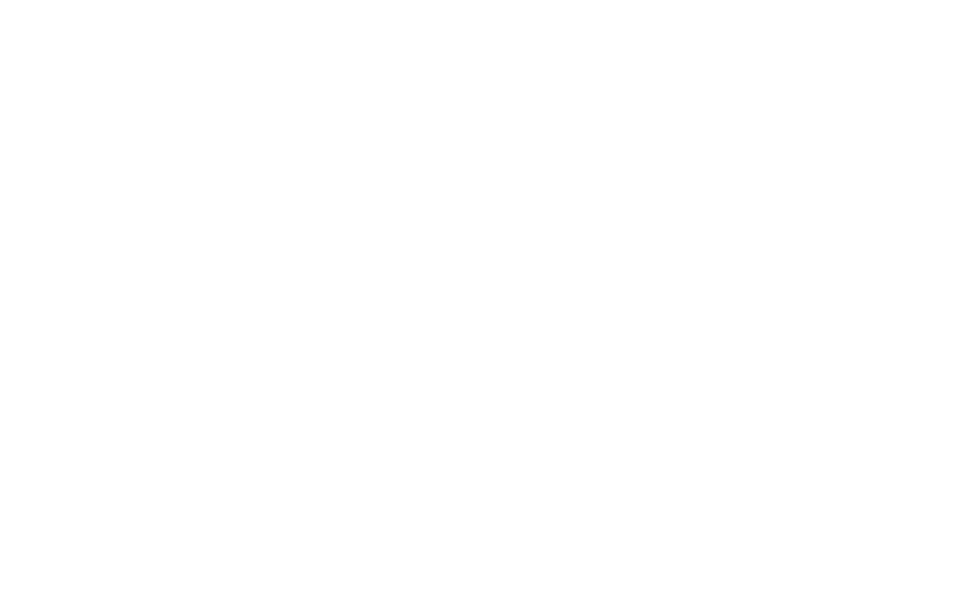 Processor